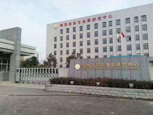 陕西粮油研究中心